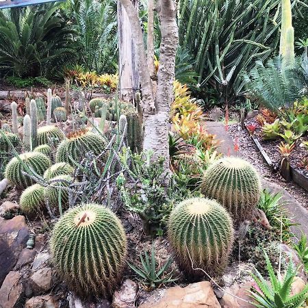 Eudlo Ancient Gardens Guesthouse & Botanical Gardens מראה חיצוני תמונה