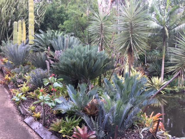Eudlo Ancient Gardens Guesthouse & Botanical Gardens מראה חיצוני תמונה