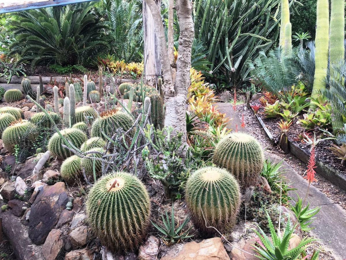 Eudlo Ancient Gardens Guesthouse & Botanical Gardens מראה חיצוני תמונה